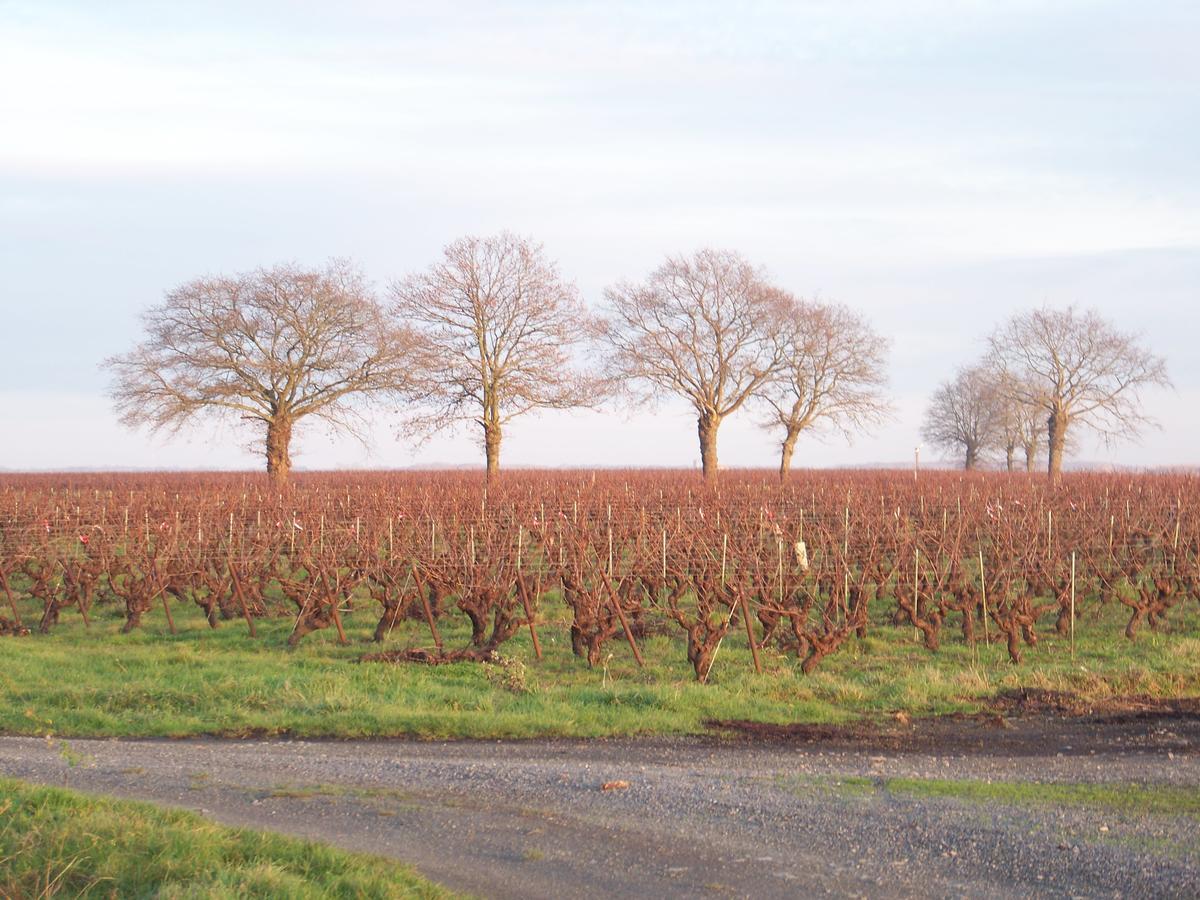La Genoise Tillieres Exterior photo