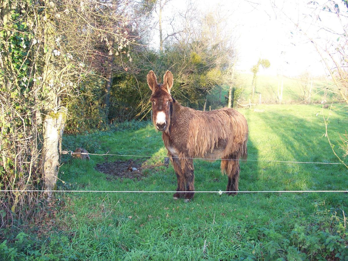 La Genoise Tillieres Exterior photo